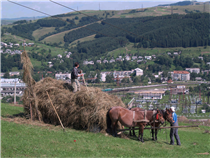 Wolowez, Foto: Gerd Heintges, Neuwied