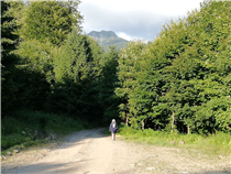 Weg zu den Urwäldern Arcer Tibles<br />Foto: Gerd Simon, Freistadt (A), CC BY-ND