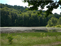 Polonyna Runa, Foto: Karl-Heinz Stolz, St. Ingbert