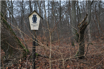 Im Keulaer Wald<br />Foto: Gerd Simon, Freistadt (A), CC BY-ND