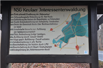 Keulaer Interessentenwaldung<br />Foto: Gerd Simon, Freistadt (A), CC BY-ND