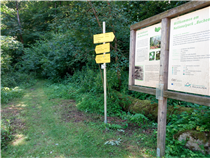 Buchensteig bei Reichraming<br />
Foto: Dagmar Everding