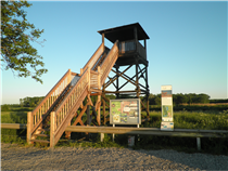 Hohenau, Beobachtungsturm an der Grenze<br />Foto: Gerd Simon, Freistadt (A), CC BY-ND